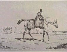 gericault.jockey. ,    