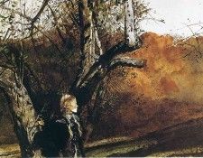 img618. �����, �����