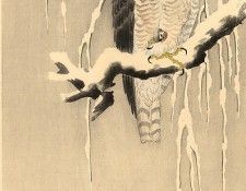 pic02176. �����