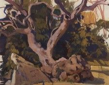 ������� � ����� 1911. ����������� ������� ���������� (1884-1967)