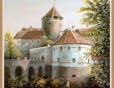 IlliniKarl 05 CastleSchlaining sj. Illini, ����