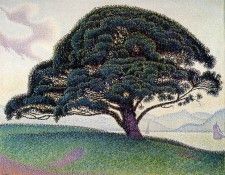 Signac Le pin de Bonaventura a Saint-Tropez, 1892, Museum of. , 