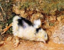 Hunt William Holman John Ruskin-s dead chick. ����, ������ ������