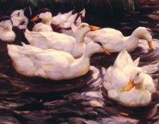 Six Ducks in the Pond. , 