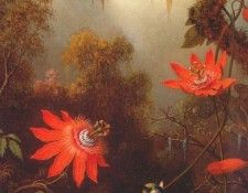 heade 2 hummingbirds perched on passion flower vines c1870-83. ����, ������ �������