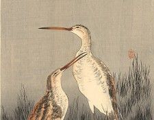 pic02232. �����