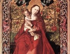 19316. ���������, ������