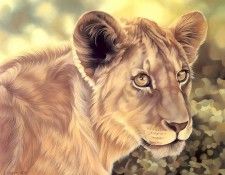 s4-vanishingspecies030-lion. , L