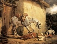 30596. �����, ����