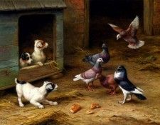 39973. ����, �����