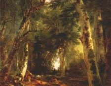 durand in the woods 1855. ,  