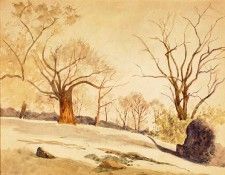 1966.67 1b. Eilshemius, ���� �