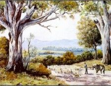 pa GeorgePhillips AustralianBush 06. , 