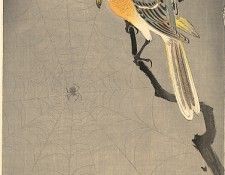 pic09411. �����