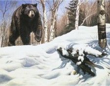 JohnSeerey-Lester BreakingCover BlackBear ec. Seerey- 