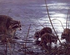 lrsSeerey-LesterJMoonliteFisherman. Seerey-������� ����