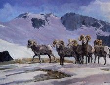 Kathleen Dawson - Bighorn Sheep, Warner Pass, De. , 
