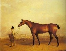 Ferneley Sr John E Emilius Winner Of The 1832 Derby. Ferneley, 