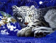 06. Schimmel, ������