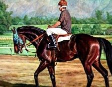 illustrated horse csg009 donald schwartz. �����, �������