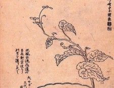 pic09497. �������