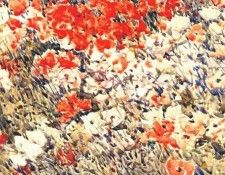 hassam the island garden 1892. , 
