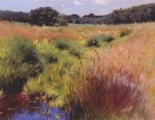 bunker marshland, medfield 1890. , 