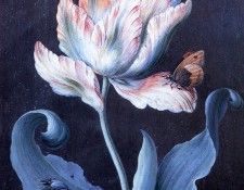 Barbara Dietzsch - Parrot Tulip, Butterfly and Scarab, De. Dietzsch, 