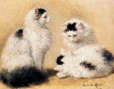 Ronner-Knip Henritte Studies Into A Maine Coon Sun . Ronner-Knip, 