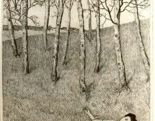 18339. �������, ����