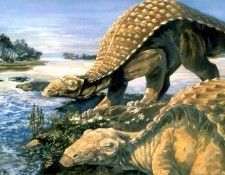 dinosaurs csg006 pawpawsaurus campbelli. , 