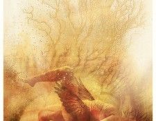 dreams 4. ������,