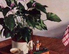 Jeremiah Patterson - Autumn Breeze (L-detail), De. ���������, �������