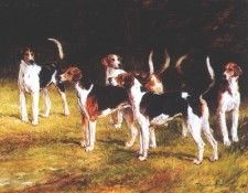 Belvoir Hounds 2. , 