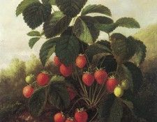 lacroix1. 