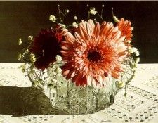 BuerBarbara-GerberaDaisy-sj. Buer, ������� R