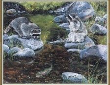 KissAndrew-A Mountain Alphabet-Raccoons-WeaISC. �������, ������