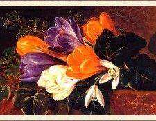 bs-flo- Johan Laurentz Jensen- Crocus On A Table. Йенсен, Йохан Laurentz