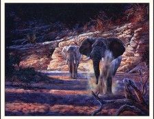 bs-na- Andrew Kiss- Shades Of Samburu. �������, ������