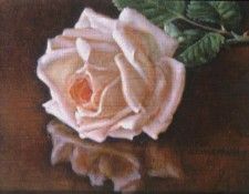 Hardy David Fallen Rose With Reflection. , 