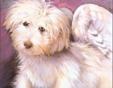 lrsNoelNA-Angels08. �����, �. �.