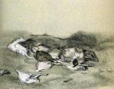 Freud paper 55. , 