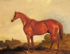 Ferneley John A Portrait Of The Racehorse Harkaway. Ferneley, 