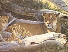 bs- Albert Earl Gilbert- African Lioness And Cubs. ,  