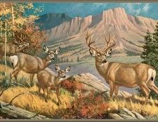 cr WalterWebber-10-RockyMountainMuleDeer. , 