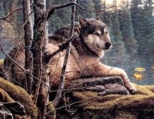 kb Baughan Kalon-Face to Face. Baughan, �����