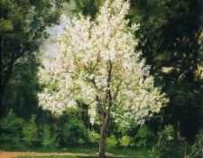 ��� ��� ���� �����������. 1877. �������� ������� (1844-1911)