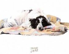 kb Noel Nancy-Jeff. �����, �����