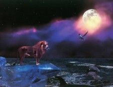 f BarryChall ASC08 TheKingdom. Chall, 