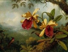 Orchids and Hummingbird ATC. ,  